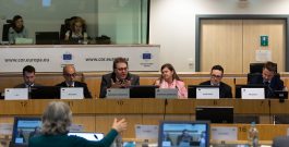 Intervention au débat sur la politique énergétique de l’UE au Comité européen des régions – 22 novembre 2023